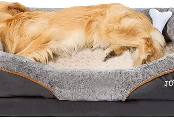 Extra Large Orthopedic Dog Bed with Removable Washable Cover and Squeaker Toy