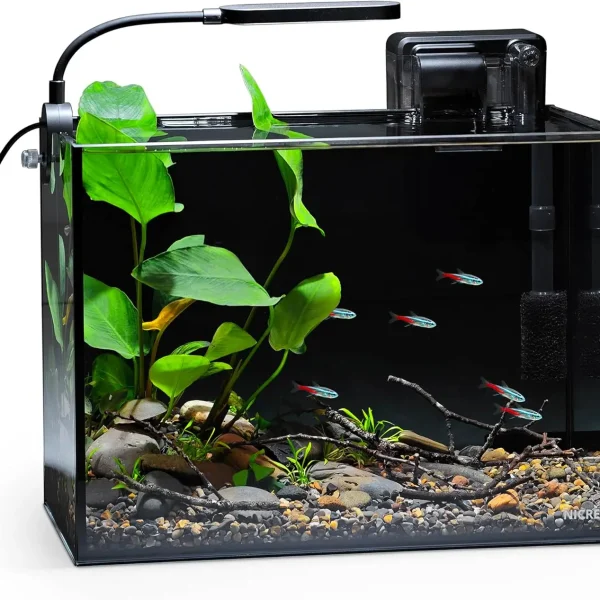 Ultra-Clear Rimless Desktop Aquarium Kit with Light