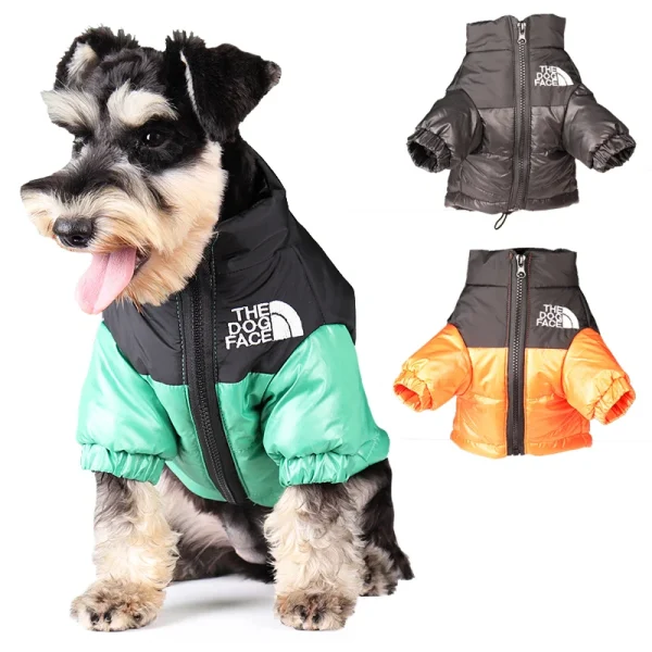 Windproof Jacket